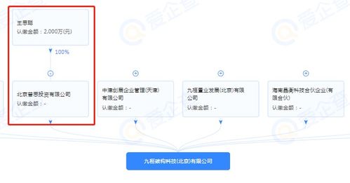 王思聰跨界布局，投資成立半導體制造公司引領(lǐng)技術(shù)新浪潮